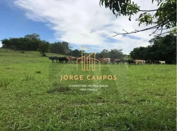 Imagem FA-24152 - FAZENDA À VENDA EM GENERAL SALGADO/SP