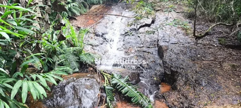 Imagem Propriedade à Venda em Luxemburgo - Santa Leopoldina/ES