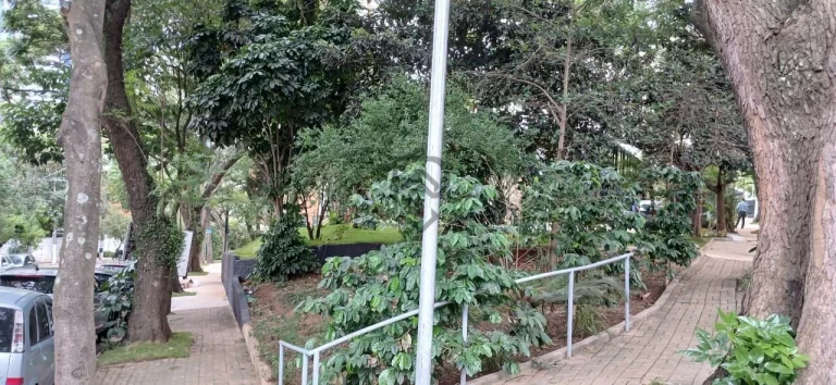 Imagem Apartamento Alto Padrão em Chacara Klabin, São Paulo/SP