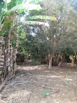 Imagem Sua Chácara dos Sonhos em Campinas: Espaço, Conforto e Natureza em Harmonia!