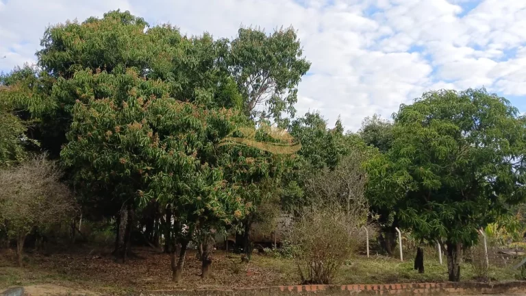 Imagem SÍTIO EM APARECIDA DO TABOADO