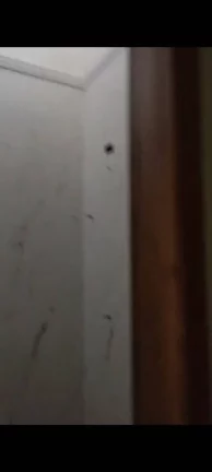 Imagem SÃO BENTO - 2 QUARTOS ( 1 SUÍTE)