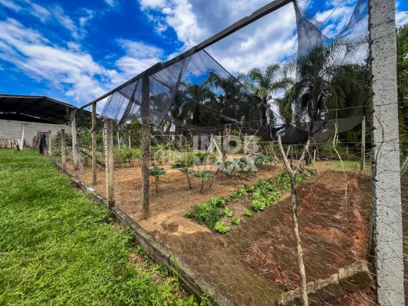 Imagem Chácara a venda formada - DF250 km 9,7 - Água corrente - Fazenda Velha