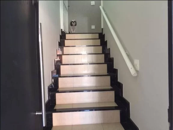 Imagem Oportunidade de ótimo negócio na área central... Barracão comercial em ótima localização com ...