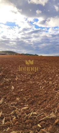 Imagem Fazenda em Não Informado