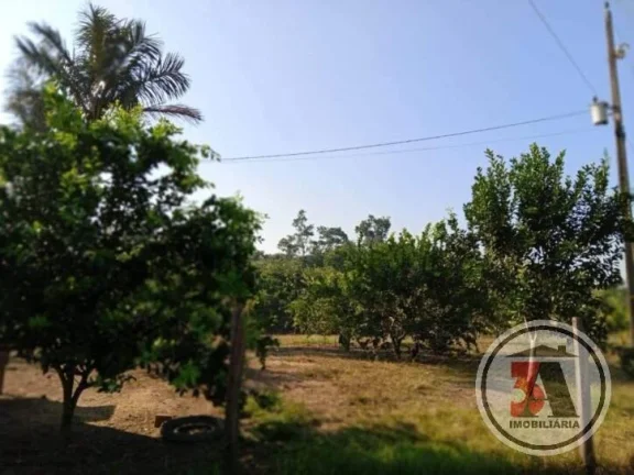 Imagem Chácara 2,5 hectares no Areia Branca