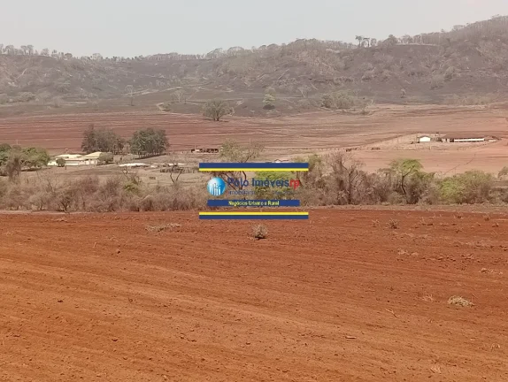 Imagem Fazenda 181 hectares montada para criação de bovinos até 220 cabeças e planta café, próximo de Altinópolis - São Paulo.