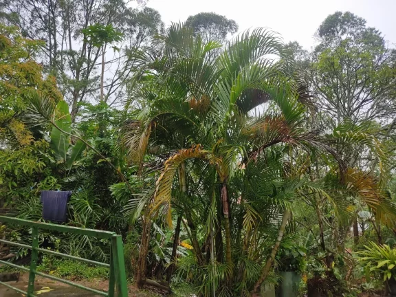 Imagem CHACARA A VENDA NO JARDIM LIMOEIRO SÃO PAULO