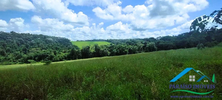 Imagem Terreno Rural com Nascente e Reserva Florestal em Brasópolis - Oportunidade