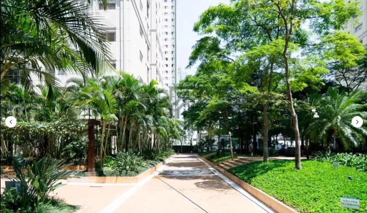 Imagem Apartamento Condomínio Paulistânia pronto para morar