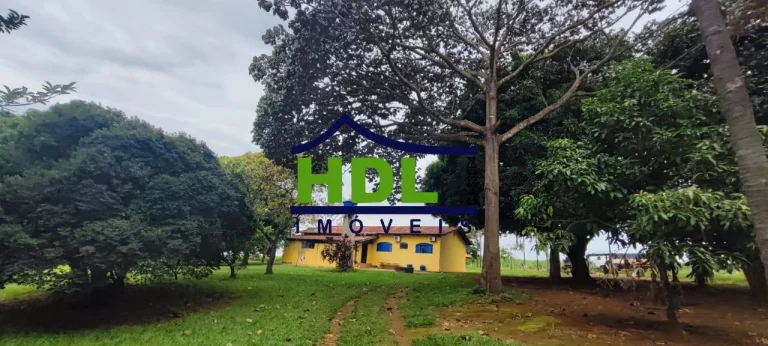 Imagem Fazenda de 23 alqs com estrutura para leite.