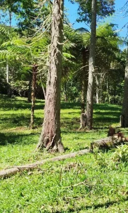 Imagem Terreno Comercial para Venda em Nova Friburgo, Mury, 1 dormitório, 1 banheiro, 3 vagas