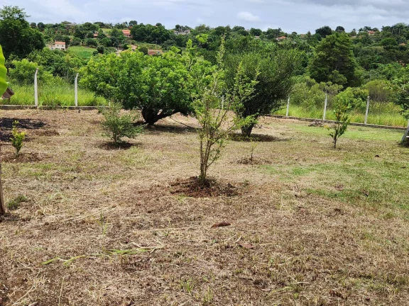 Imagem CHÁCARA COM PISCINA E EDÍCULA LOCALIZADA NA CANANEIA