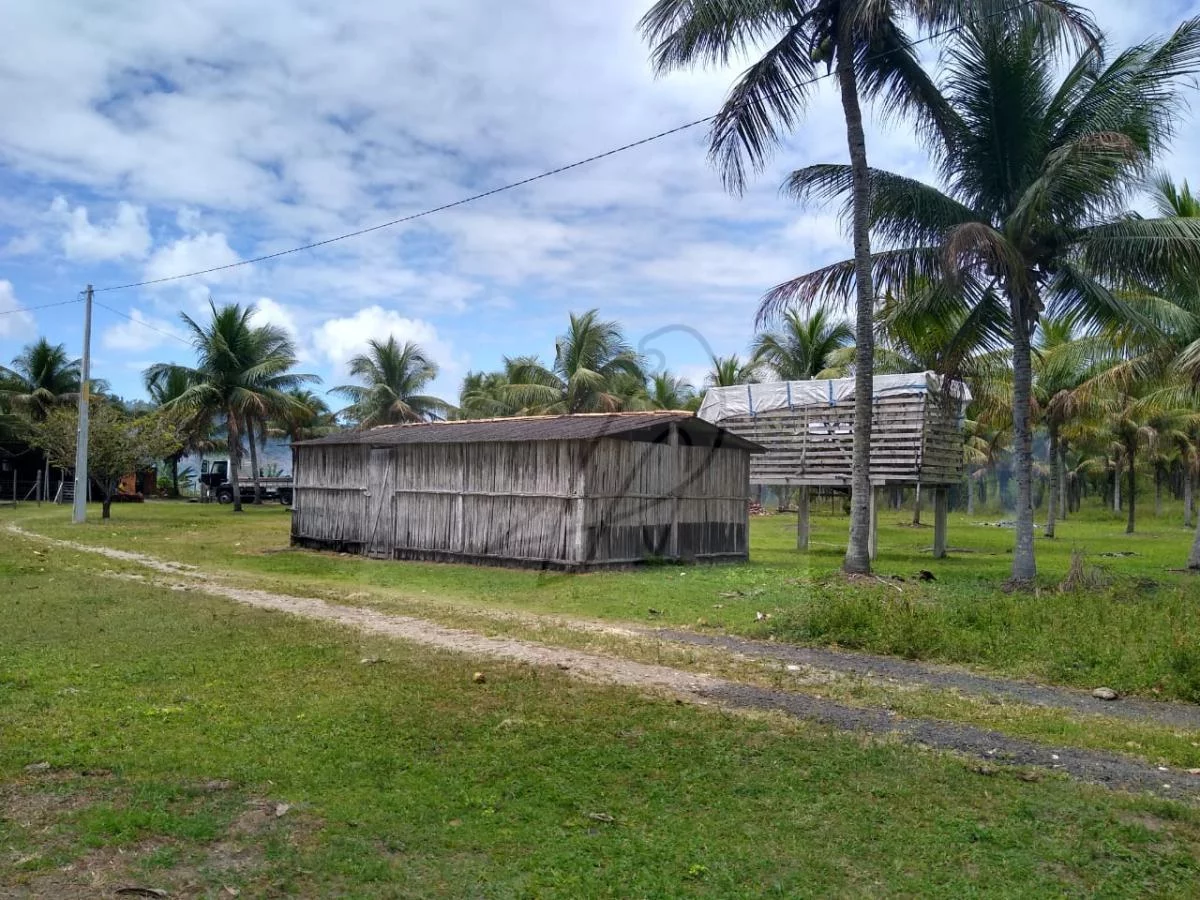 Imagem Vendo Fazenda produtiva 250mil m2, Conde / BA