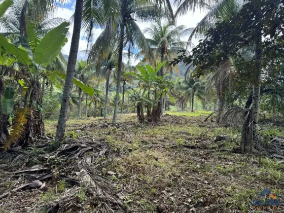 Imagem Terreno com 1100m2 à Venda Próximo a Figueira Café em Jaboti - Guarapari/ES