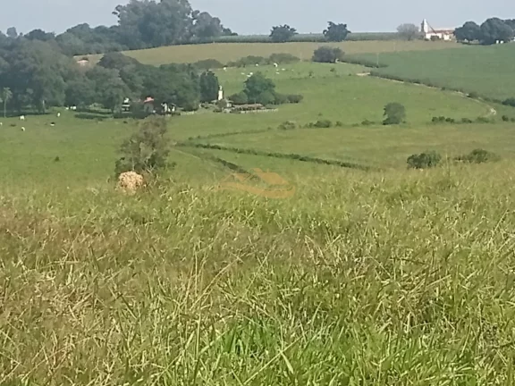 Imagem SITIO RURAL em TIETÊ - SP, rural