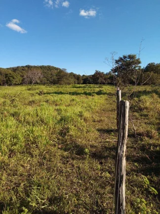 Imagem Fazenda à Venda em Faina - 237 Alqueires de Oportunidade!