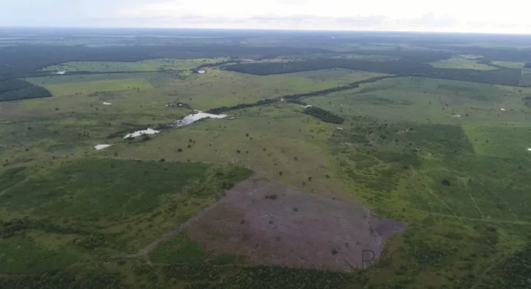 Imagem Fazenda à Venda, 13.360.000 m² em Zona Rural - Santa Rita Do Tocantins
