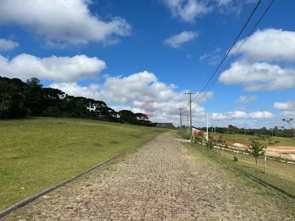 Imagem ÁREA à venda com 6250.86m² por R$ 660.000,00 no bairro planta laranjeiras - PIRAQUARA / PR
