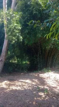 Imagem Fazenda Aconchegante à Beira do Rio do Peixe em Santa Cruz de Goiás