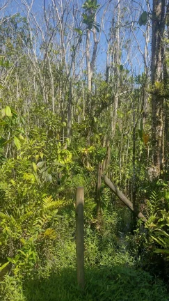 LOTE DE TERRENO PRAIA ITAMAMBUCA - UBATUBA
