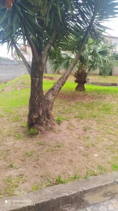 Imagem Vende se Apartamento no Itaim Paulista