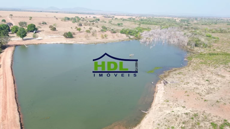 Imagem Fazenda de OPORTUNIDADE Dupla Aptidão em Peixe do Tocantins