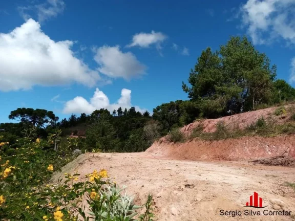 Imagem Terreno para venda na Região do Descansopolis em Campos do Jordão/SP.