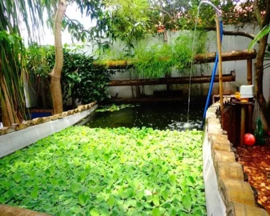Imagem LINDA CASA EM ÓTIMA LOCALIZAÇÃO, COM SALA, COZINHA, ÁREA DE SERVIÇO, BANHEIRO, 03 QUARTOS, ÁRE...