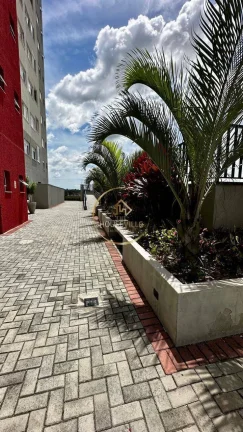 Imagem Apartamento 3 dormitórios ( 1 suíte), Mirante Flamboyant, Sjc.