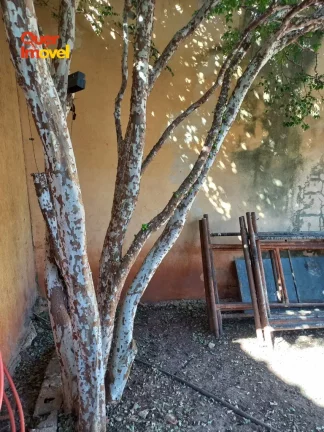 Imagem Terreno à venda em Ribeirão Preto-SP, Parque Residencial Cândido Portinari, 360m² de área. Aproveite essa oportunidade!
