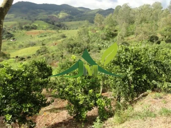 Imagem Lindo sítio à Venda em Piracaia no asfalto