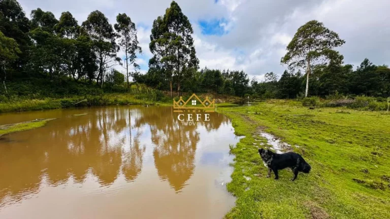 Imagem Chácara - Sítio com 1 Dormitorio(s) localizado(a) no bairro Serra Grande em Três Coroas / RIO GRANDE DO SUL Ref.:1602