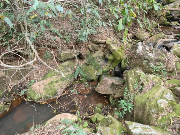 Imagem Lindo sítio à Venda em Piracaia