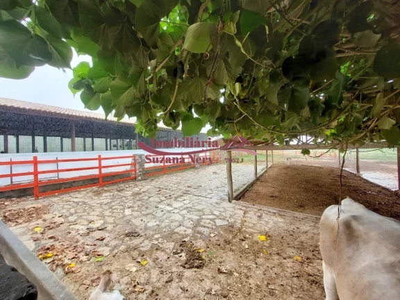 Imagem TERRENO NO CONDOMÍNIO FAZENDA REAL