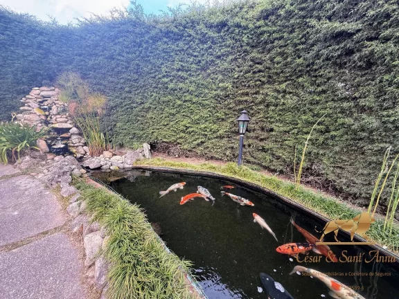 Imagem Linda Casa a Venda com 6 suítes e um chalé em Campos do Jordão SP