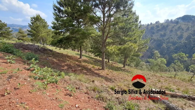 Imagem Terreno a Venda na Região do Atalaia em Campos do Jordão -SP.