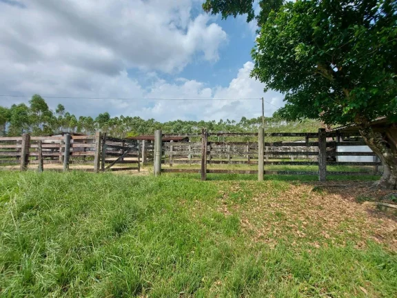 Imagem VENDO FAZENDA COM 30 ALQUEIRES EM SILVA JARDIM, AGUA POR GRAVIDADE