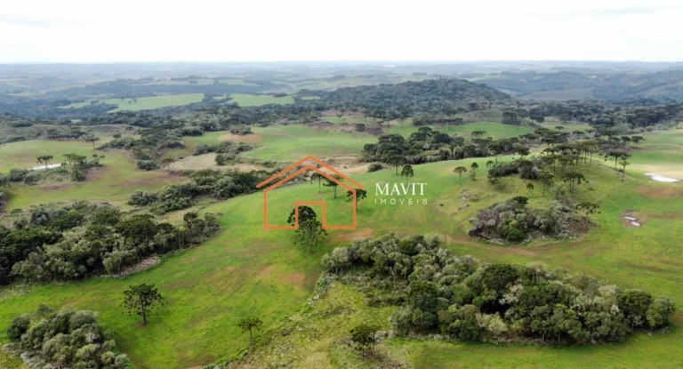 Imagem FAZENDA RURAL em CERRO NEGRO - SC, Interior