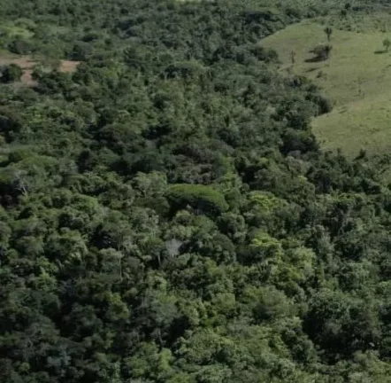Imagem RESERVAS DO ESCONDIDO - MATA ATLÂNTICA