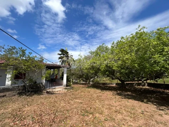 Imagem Chacara a venda completa e produtiva em Sao jose de mipibu