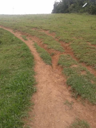 Imagem [Vendo Sítio em Brazópolis] [7 hectares com córrego d'água]
