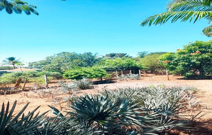 Imagem Terreno à venda, 1600 m² por R$ 300.000,00 - Vale dos Lagos - Tatuí/SP