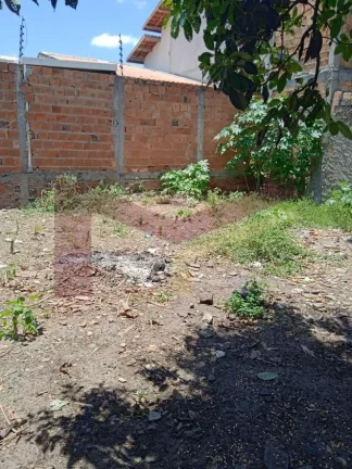Imagem Terreno no Papagaio