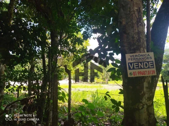 Imagem Terreno com 5000 m² em Aldeia, Camaragibe