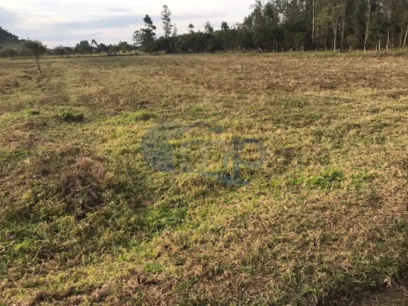 Imagem Excelente área com 120.000 metros ou 12ha em Torres