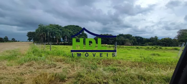 Imagem Fazenda de 23 alqs com estrutura para leite.