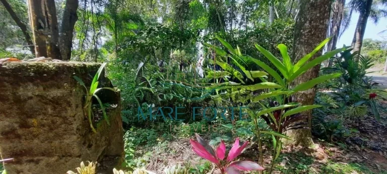 Imagem Terreno na Ponta das Toninhas