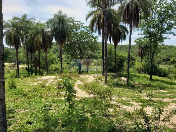 Imagem AREA RURAL EM INHAÚMA