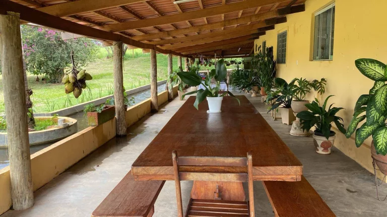 Imagem Fazenda à Venda em Santa Cruz de Goiás – Dupla Aptidão!